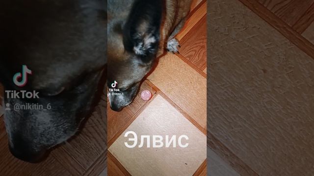 1000002856.mp4