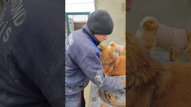 Продолжаем устанавливать утеплители