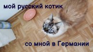 МОЙ СЁМУШКА В ГЕРМАНИИ. СО МНОЙ