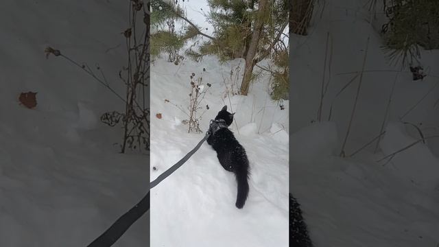 1001023207.mp4