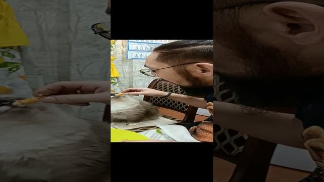 1000067018.mp4