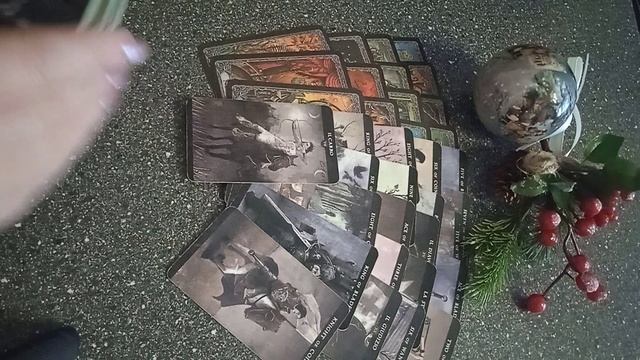 VID_20241220_095328.mp4