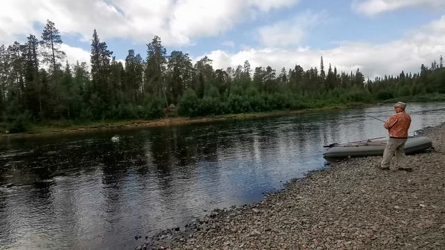 Крупный самец горбуши.