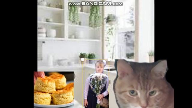 Ginger The Cat Grounds Anya For Life For Making Basic Biscuits