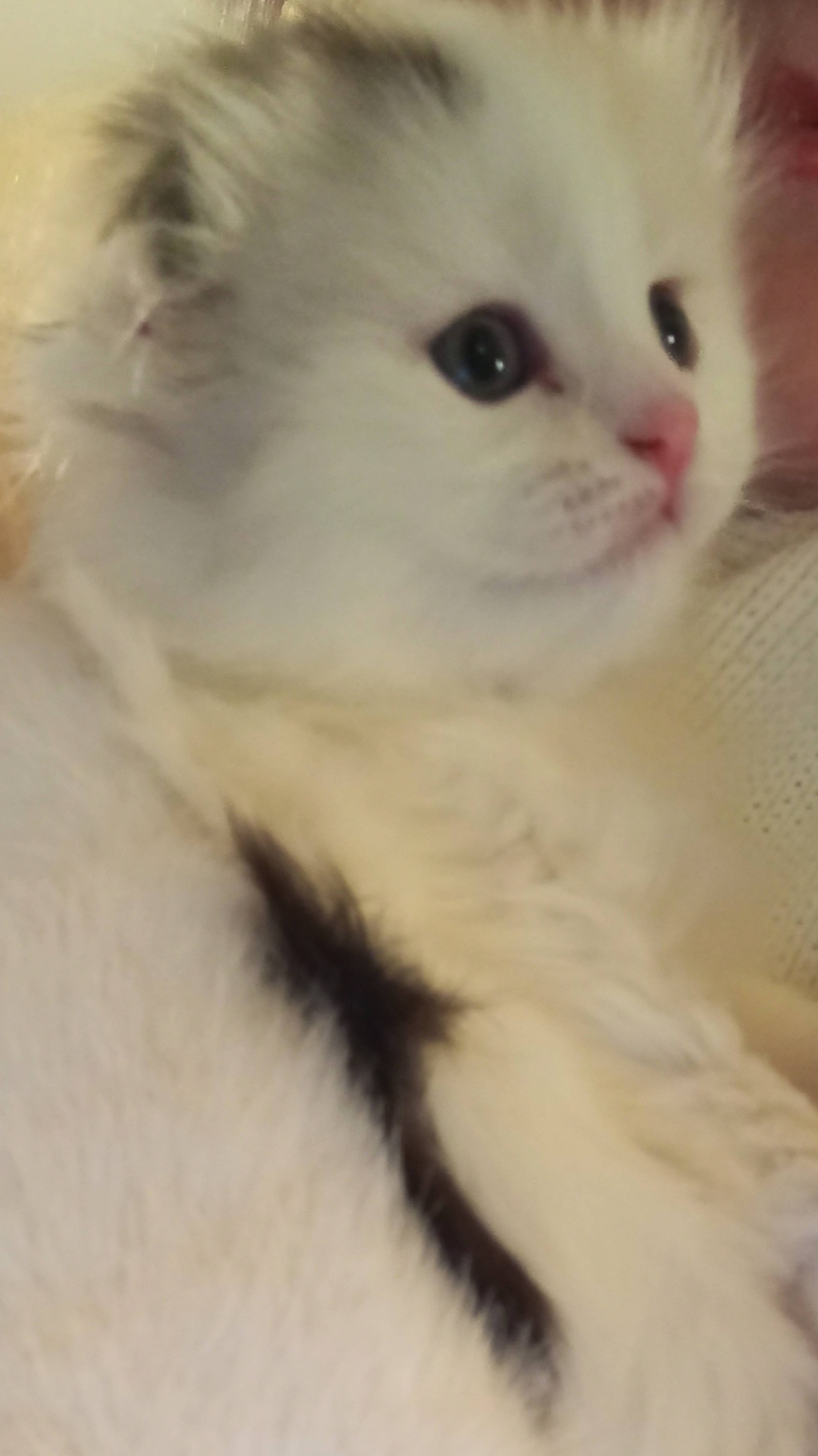 Луняшенька