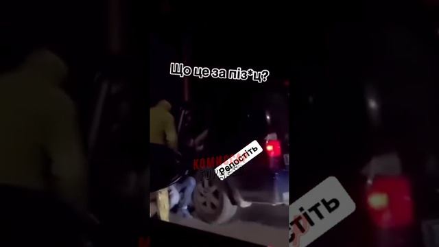 Животные из ТЦК