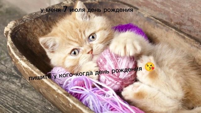 😘7 июля мне исполнится 11 лет 🤪
