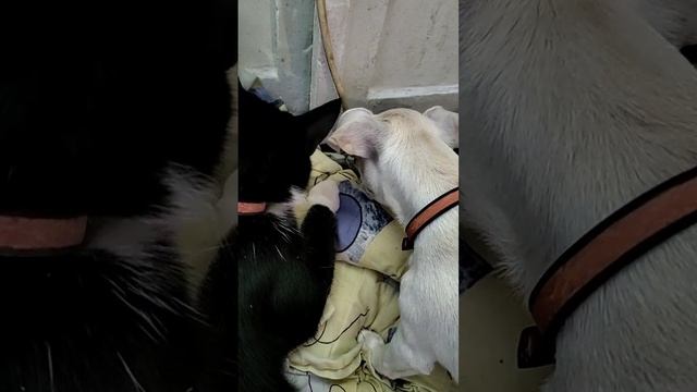 1000007765.mp4
