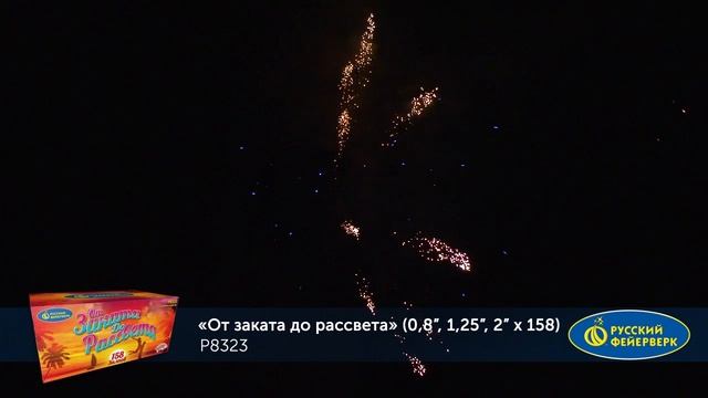БС От заката до рассвета P8323
