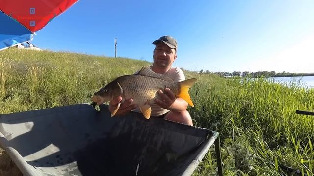 Майский карп! Carpfishing(Карпфишинг) по холодной воде