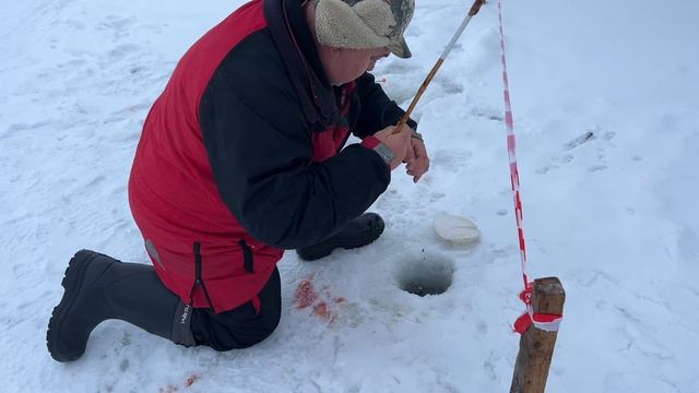 Видеообзор с водоема