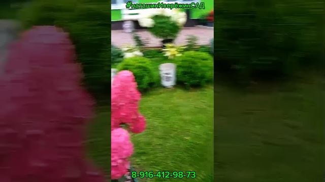 ВООЧИЮ СамарскаяЛидия- начало сентября.mp4