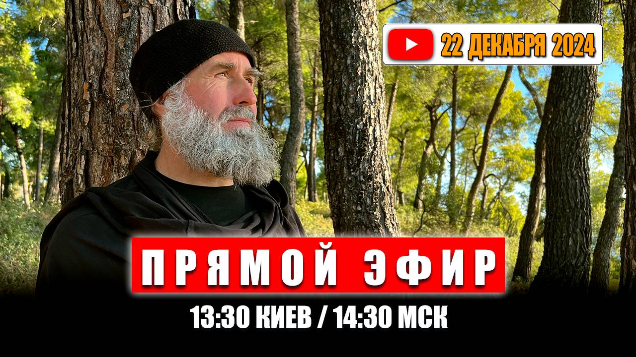 Прямой эфир 22 декабря 2024 | 13:30 Киев / 14:30 МСК