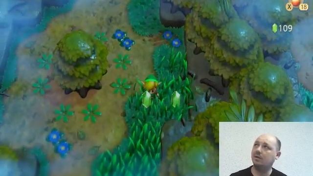 Legend of Zelda Links awakaning Прохождение #1