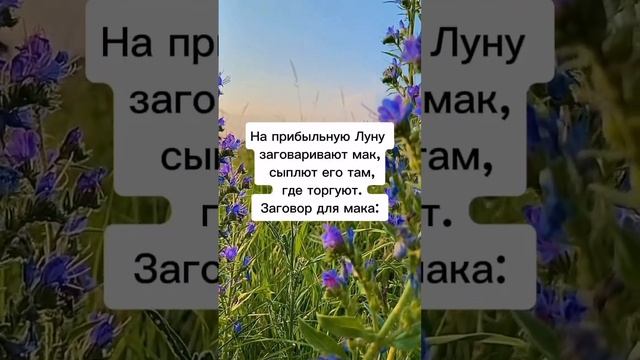 Заговор на прибыль  #шепотки #заговоры #магия