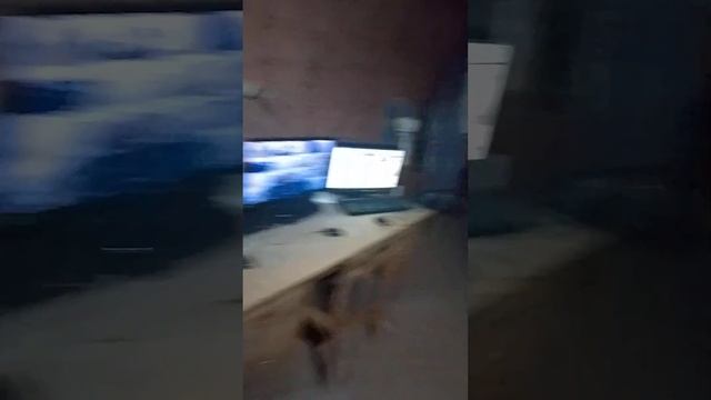 19 декабря 2024 г.