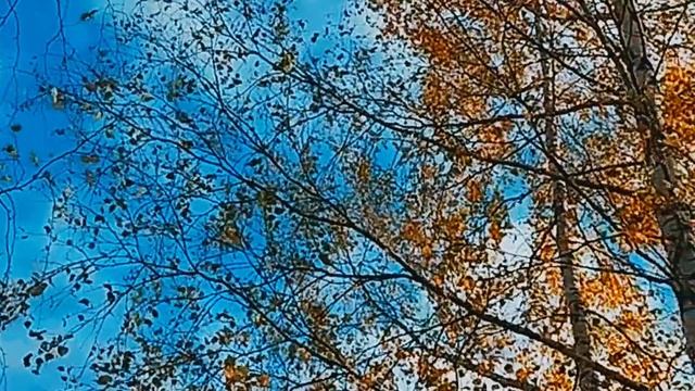 1000011688.mp4