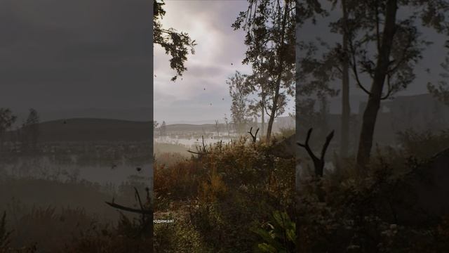 S.T.A.L.K.E.R.2- Heart of Chornobyl