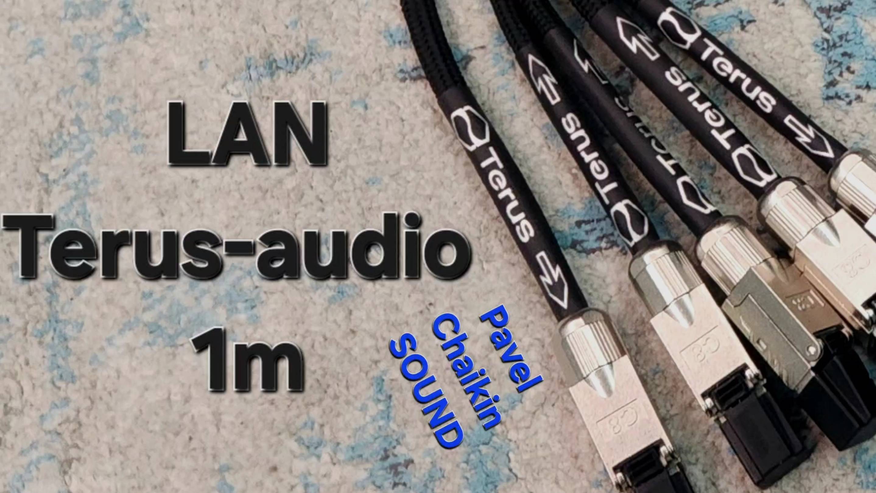 2024.12.20 Components LAN Terus-audio 1m