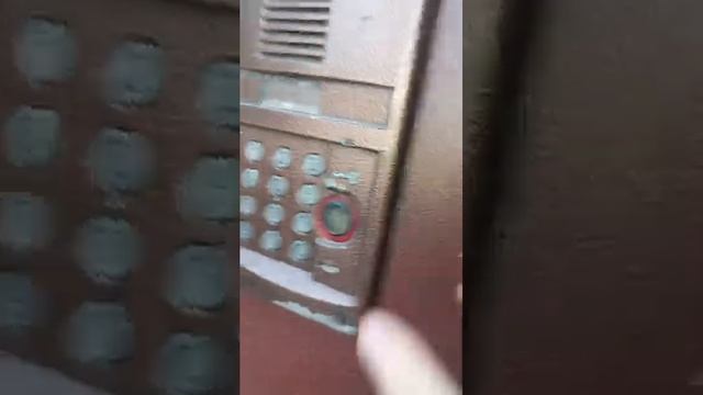 1000061849.mp4