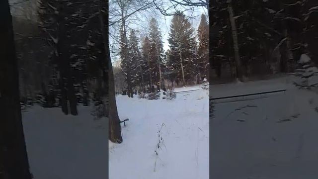 VID-20241220-WA0009