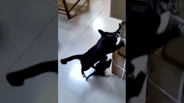 Передача знаний младшему поколению