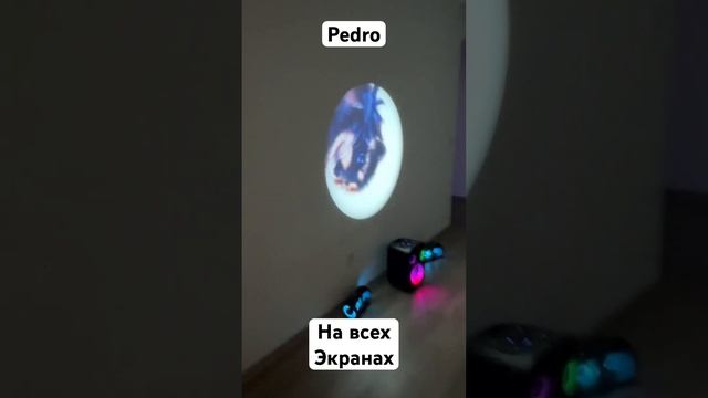 Pedro на всех экранах