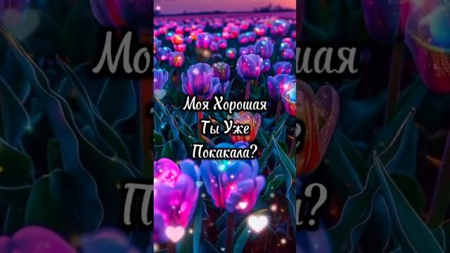 Поздравительные открытки выходят на новый уровень.