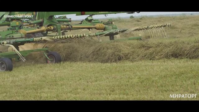Мираторг. Спецпроект для компании