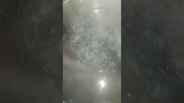 VID_20240912_214027.mp4