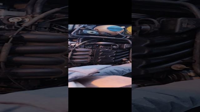 1000006763.mp4