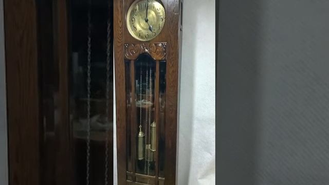 VID-20230329-WA0001.mp4