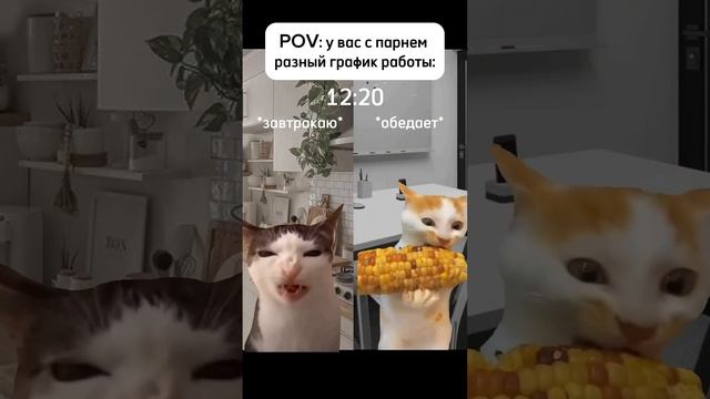 Когда у вас разные графики!