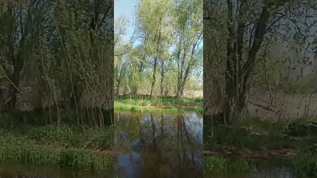 05.06.24р. Фоминка. На карася VID-20240605-WA0003