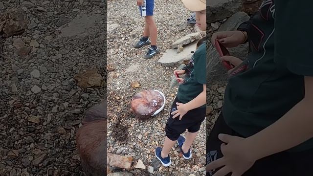 1000342619.mp4