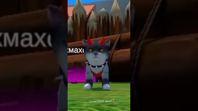 обновление в cat simulator animal lite! скорее подписавывайтесь на меня и ставьте лайки!