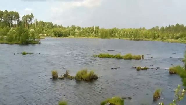 г. Советский. Городской пруд