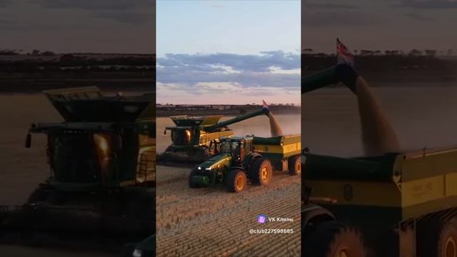 clip-227598685_456239718.mp4