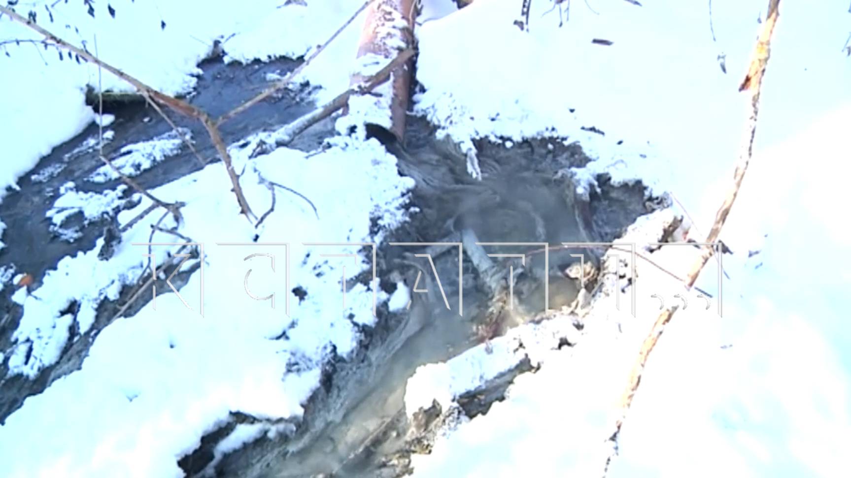 Центральная канализация из сёл Богородского района централизовано, без очистки, направляется в Волгу