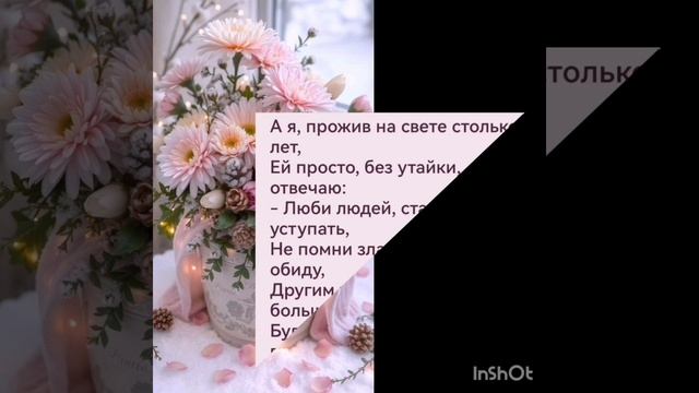 20-12-2024ЛВЕ
