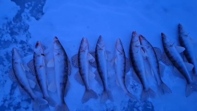 рыбалка