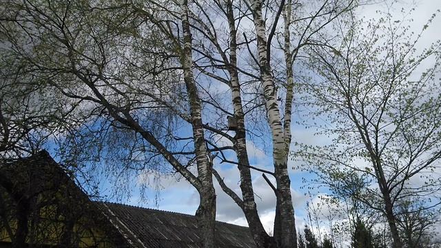 MOV_0367_000.mp4