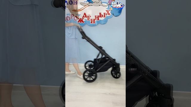 Обзор коляски 2 в 1 Riko Basic Delta
