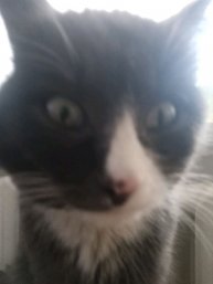 играю в CS 1.6 на компьютере