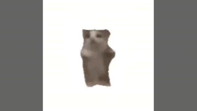 1000317431.mp4