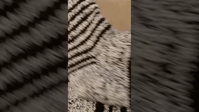 вязаные бабушкины носки от Анны Николаевны. продаются Щёлково. пересылка Вацап, телеграм 89153341491