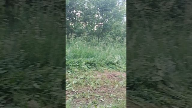 1000003591.mp4