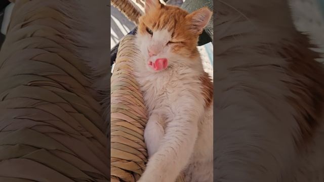 Я на отдыхк