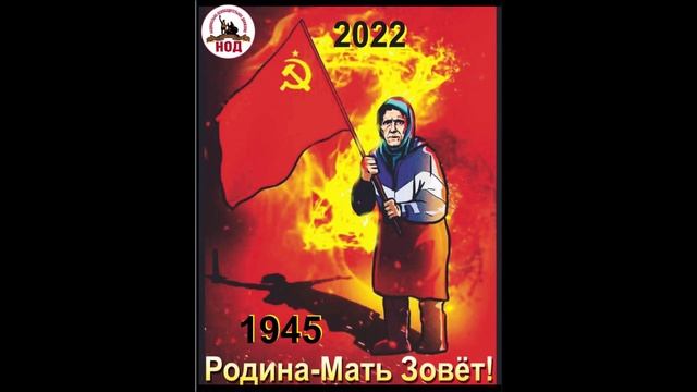 23.11.2024 НОД-Хабаровск: СТОП МАЙДАН!!! (723) Ч.8/23  АвтоНОДик в "Работе" у Правительства ПримКрая
