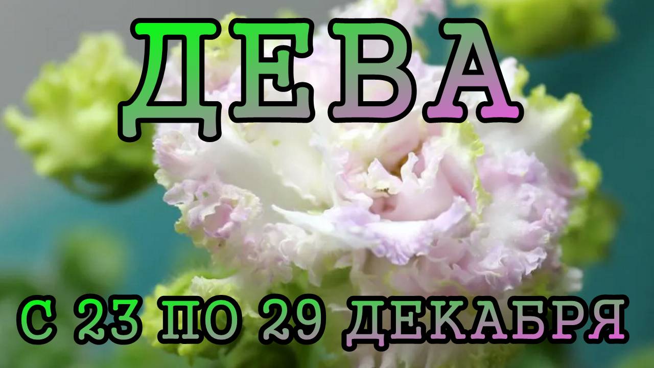 ДЕВА таро прогноз на неделю с 23 по 29 ДЕКАБРЯ 2024 года.